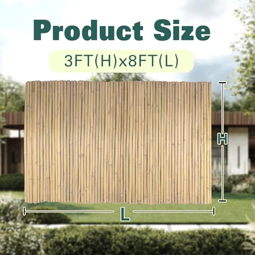 Natural Bamboo Fence 3ft H x 8ft L x 0.7In D