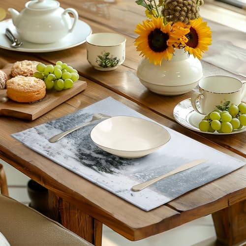 Winter Placemats Set of 4