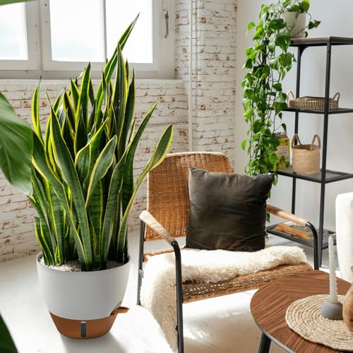 12/10/8 Inch Self Watering Pots for Indoor Plants Plastic Large Pot for Outdoor Plants, Water Level Window & Spacious Reservoir Flower Pots Decorative Planter with Drainage and Tray (White) (3 Count)