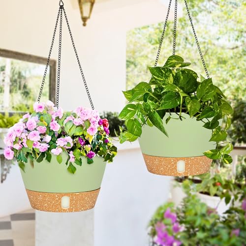 2 Pack 10 Inch Hanging Planters for Indoor Outdoor Plants (2 Count)