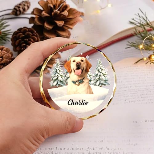 Custom Pet Christmas Ornament with Photo