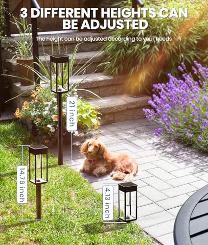 Solar Lighting for Walkway (8 Count)