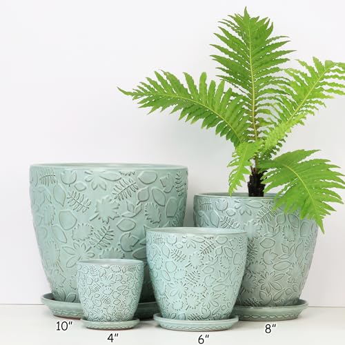 8 Inch + 6 Inch Plant Pots for Indoor Plants (2 Count)
