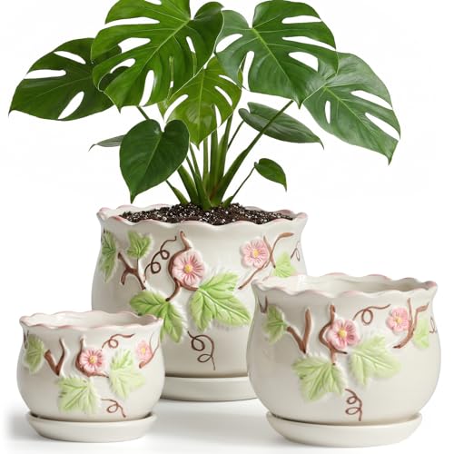 Ceramic Plant Pots with Drainage Holes and Saucers (3 Count)