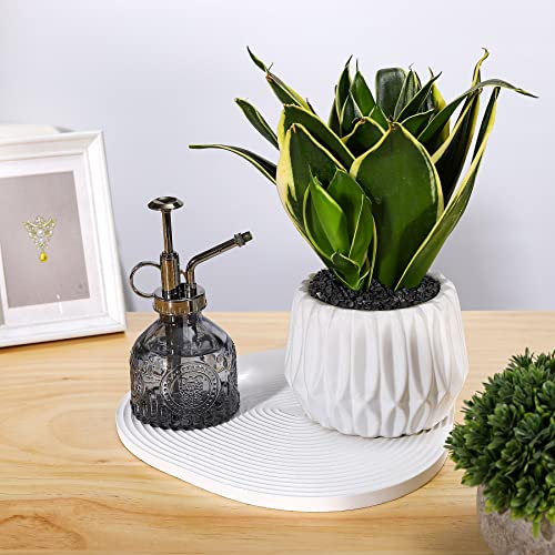Glass Plant Mister Spray Bottle