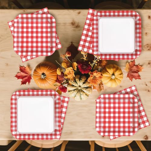 200 Pcs Red and White Gingham Party Supplies (200 Count)