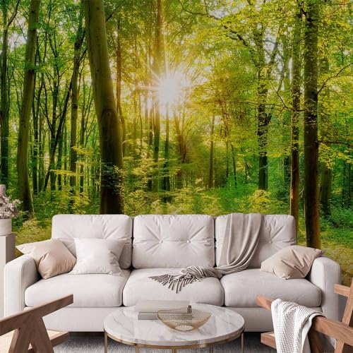 Premium Wall Mural Wallpaper (11 Count)
