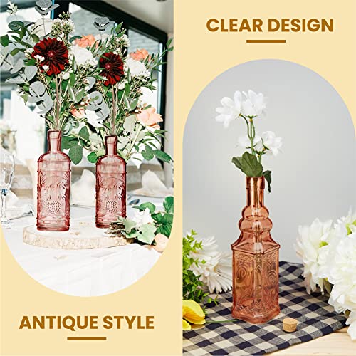 Assorted Reddish Glass Bottles with Corks (6 Count)