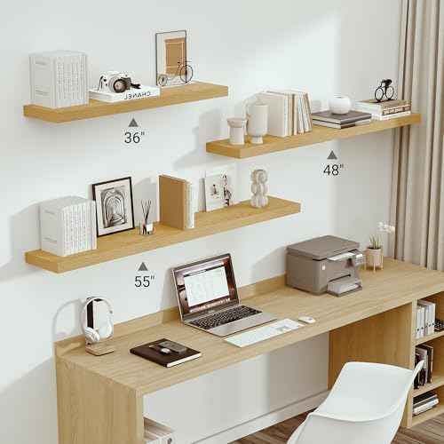 Deep Floating Shelves 55x10” Set of 1