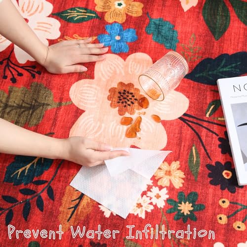 Door Mat 2x3 Area Rug Washable