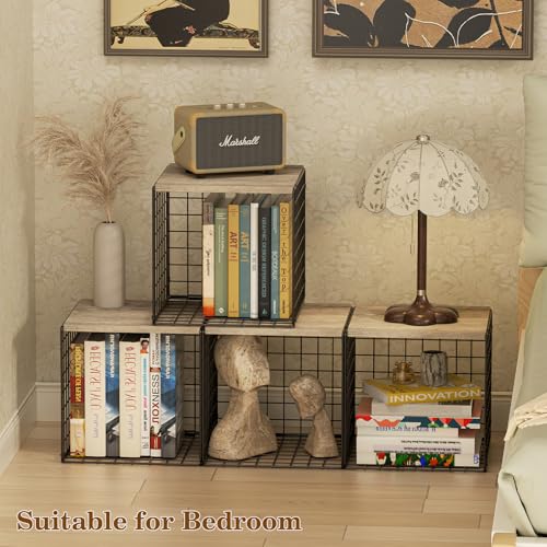 2 Cube Small Bookcase (2 Count)