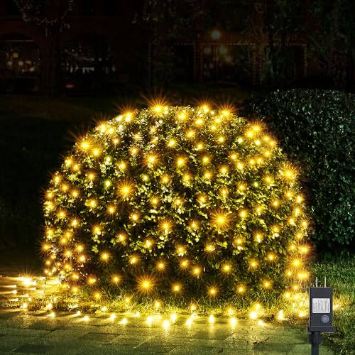 Christmas Lights Outdoor