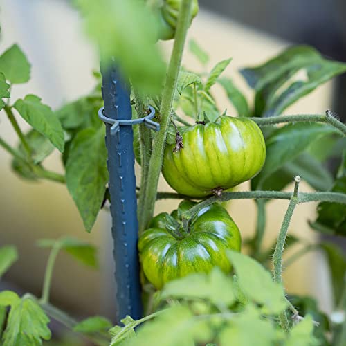 Garden Plant Stakes (25 Count)