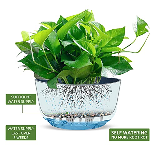 11.2 Inch Self Watering Hanging Planter (2 Count)