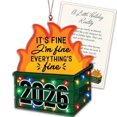 Funny Dumpster Fire Ornament 2026