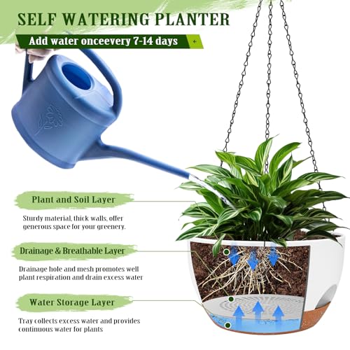 2 Pack 10 Inch Self Watering Hanging Planter for Indoor Outdoor Plants (2 Count)