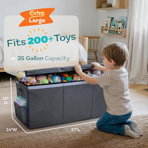 Extra Large Toy Storage Organizer with Lid
