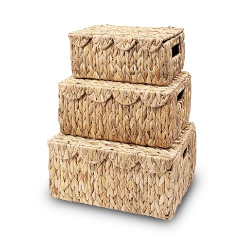Set of 3 Scalloped Edge Wicker Basket with Lid