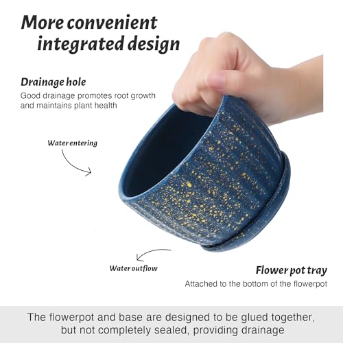 Ceramic Plant Pots with Saucers (3 Count)