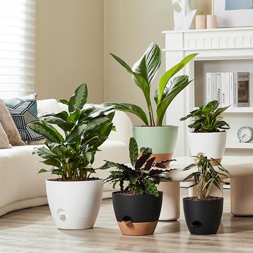 3 Pack Planter Pots (3 Count)