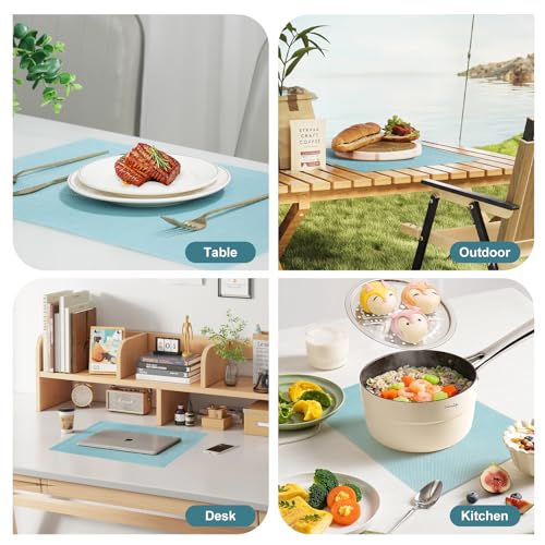 Placemats Set of 6 (6 Count)