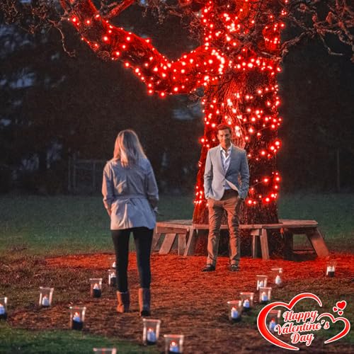 100FT 300 LED Christmas Lights Outdoor