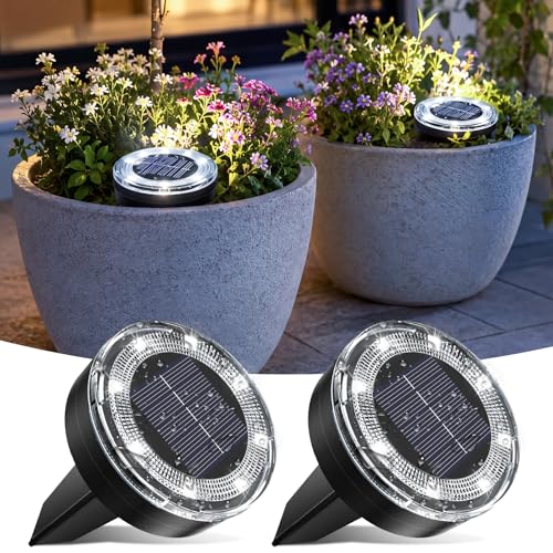 Mini Solar Ground Lights 2 Pack (2 Count)