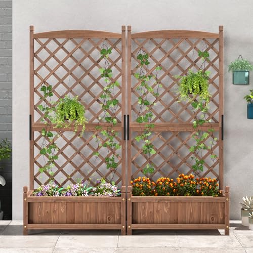 2 60” Raised Garden Bed with Trellis
