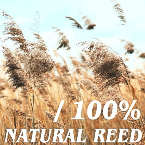 Natural Reed Fencing Roll 6FTx16.4FT Privacy Screen for Patio
