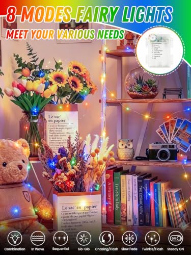 2 Pack 100 LED Fairy Lights Battery Operated with Remote