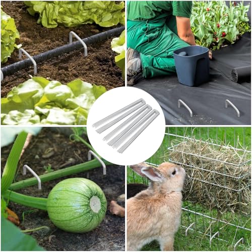 4 Inch 50 Pack Galvanized Landscape Staples 12 Gauge Anti (50 Count)
