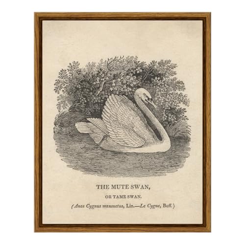 Framed Wall Art Decor for Living Room