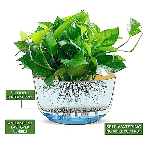 9.8 Inch Self Watering Hanging Planter (2 Count)