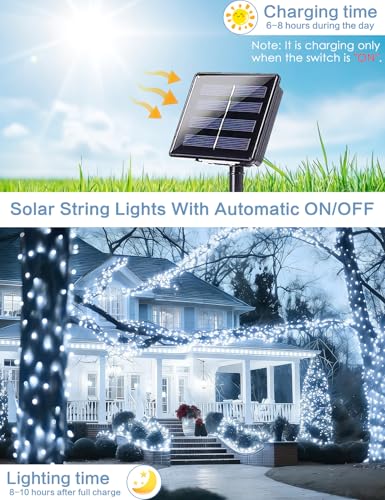 Solar String Lights Outdoor (6 Count)