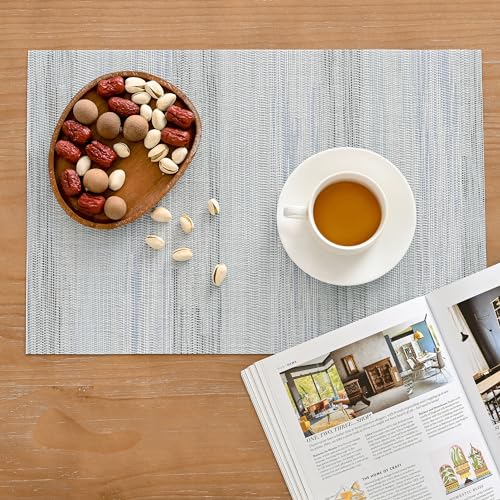 LightSteel Blue Placemats Set of 6 (6 Count)
