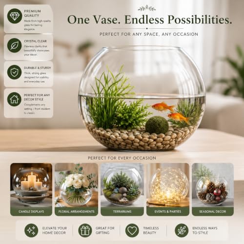 Glass Bubble 6" Height x 8" Width Glass Fish Bowl Vase