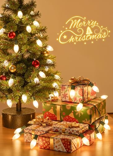 25Ft Christmas Lights Outdoor (25 Count)