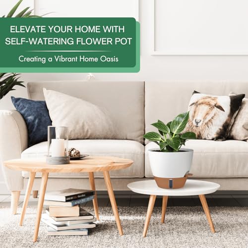 2 Pack 10 inch Plant Pots (2 Count)