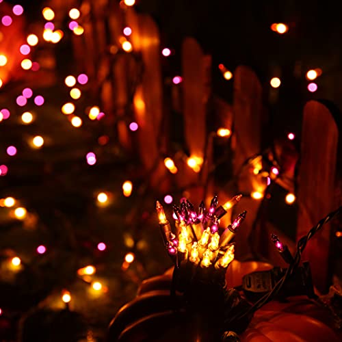 Orange & Purple Halloween Lights (25 Foot)