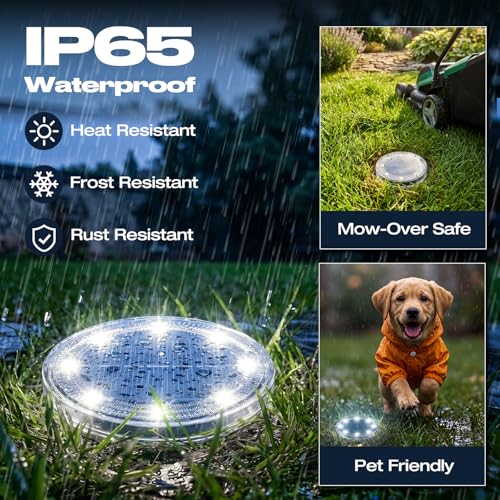 Mini Solar Ground Lights (12 Count)