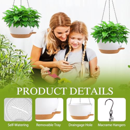 12 Inch Hanging Baskets 2 PC with Chains (2 Count)