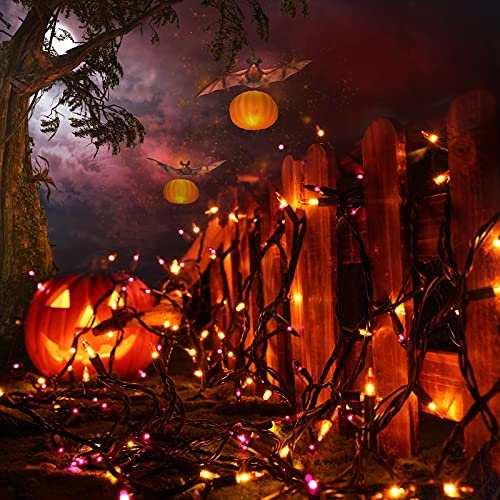 Orange & Purple Halloween Lights (25 Foot)