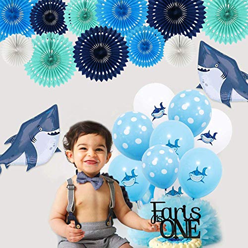 Honeycomb Round Paper Fans Blue White Hanging Party Decoration (11 Count)