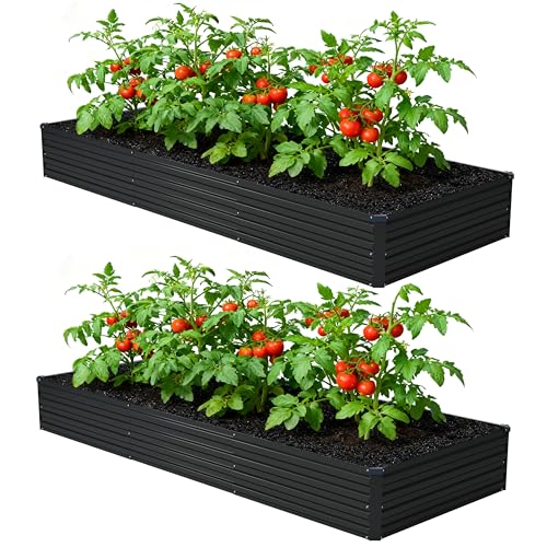 12x4x1ft 2 Pack (2 Count)