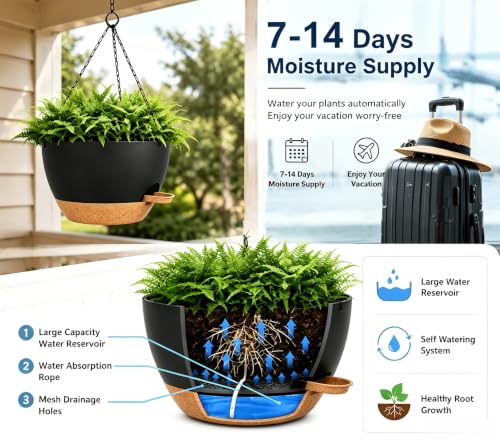 12" Self Watering Hanging Planters with Chains (2 Count)