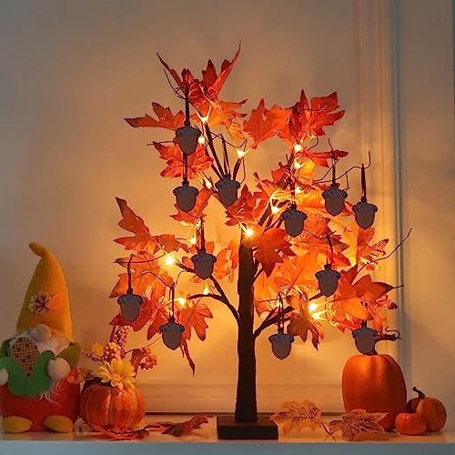 Fall Decorations for Home