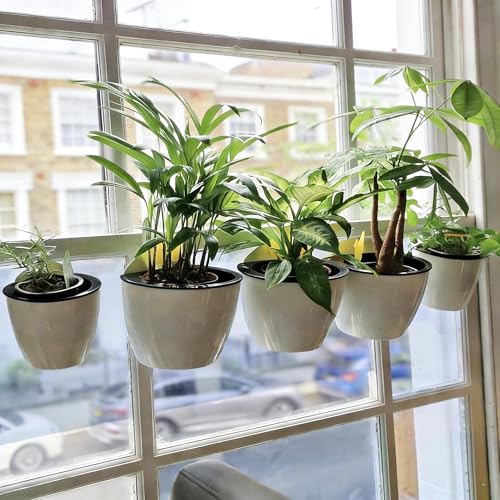 3 Pack Self Watering Wall Hanging Planter Pots Vertical Garden Window Hang Mount Indoor Outdoor Plant Flower Basket for Kitchen Herbs Balcony Railing Shelf Fence Bedroom Trellis Decor Modern White Box (3 Count)