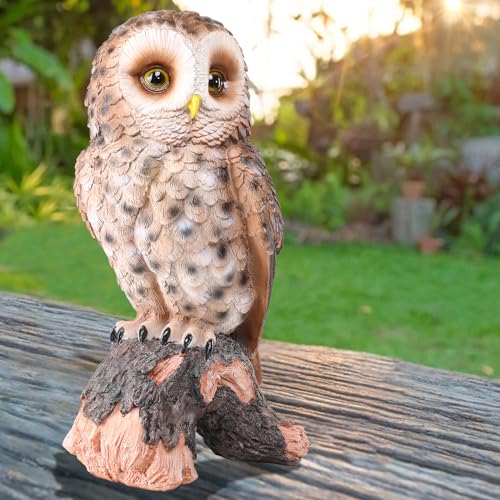 Owl Statue Outdoor