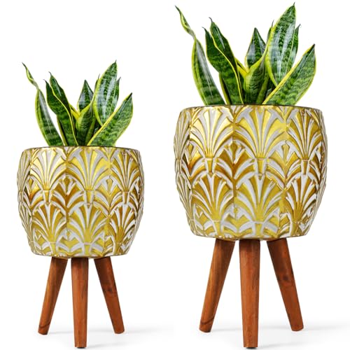 Plant Pots with Stand (2 Count)