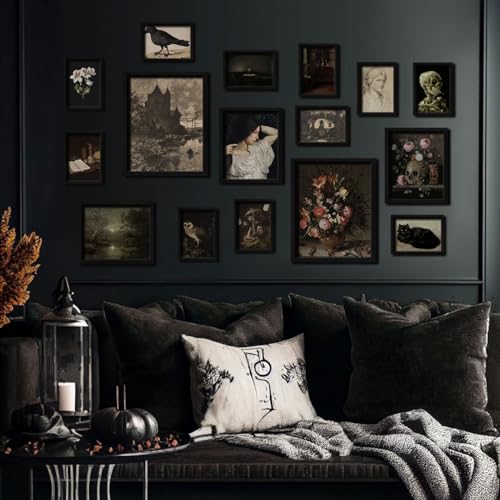 16 PCS Framed Dark Academia Room Decor (16 Count)